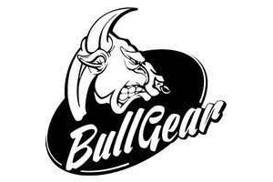 Bullgear