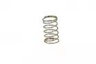 AAP01 Nozzle Valve Spring