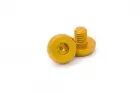 AIP 7075 Aluminum Grip Screws For TM 4.3/5.1 - Gold