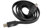 Câble USB-C pour USB-Link GATE