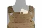 Lightweight SF Plate Carrier CB