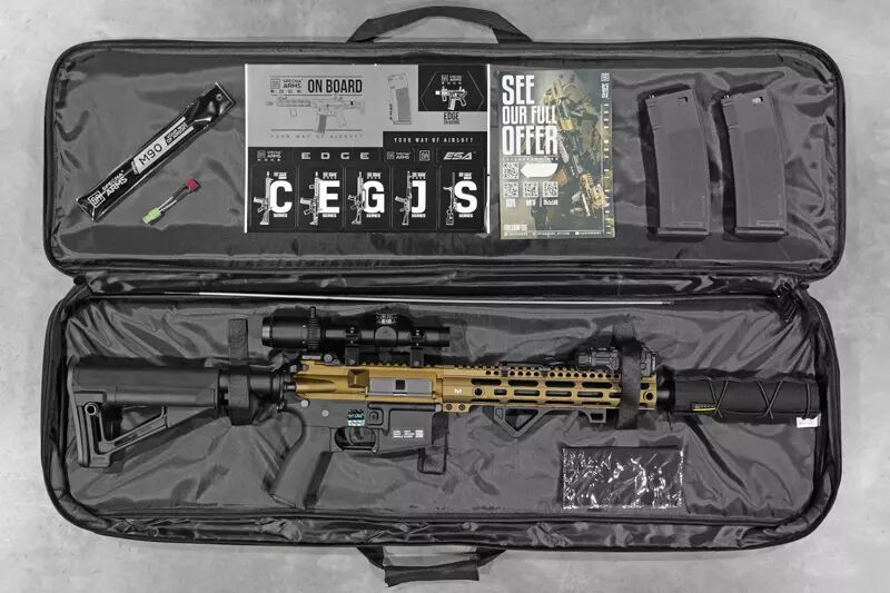 Réplique AR15 Assaut Chaos bronze Ragnarok Aster SE custom