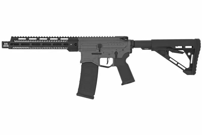 Rplique R15 mod 1 Zion Arms noir/gris garde main long