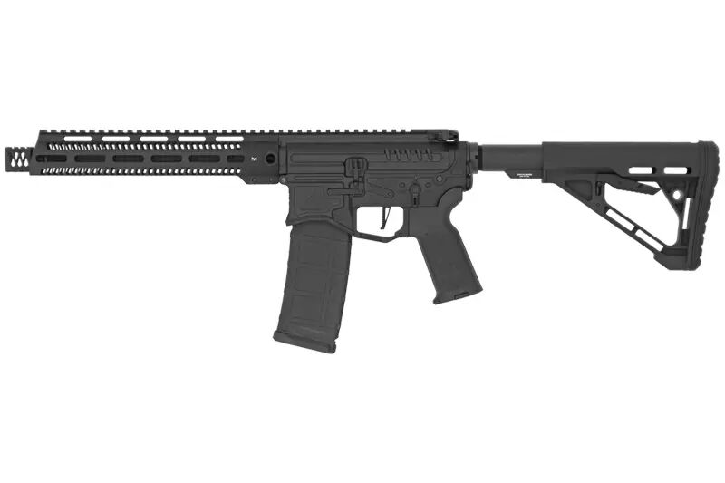 Rplique R15 mod 1 Zion Arms noire garde main long