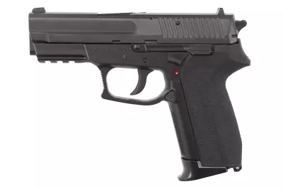 Rplique SP 2022