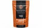 Sachet 3300-Billes 0,30g High Performance EVOLUTION