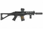 sig 553 custom