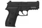 SIG AIRSOFT PROFORCE GBB P229 GAZ