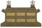 Skeletonized Plate Carrier Flap®