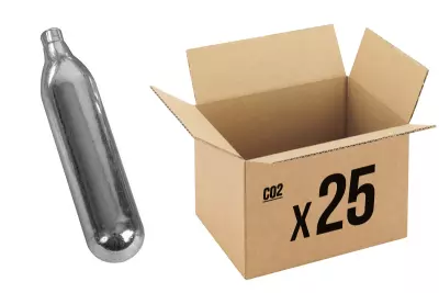 Sparclette de 12g par 25 