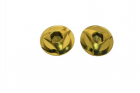 Stainless Steel Grip Screw - Gold
